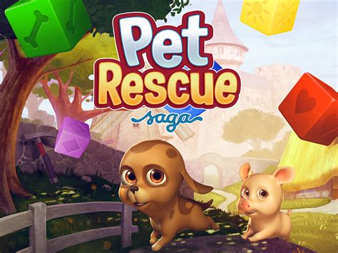 pet saga game online play|More.